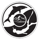 aquaalpine-diving.com